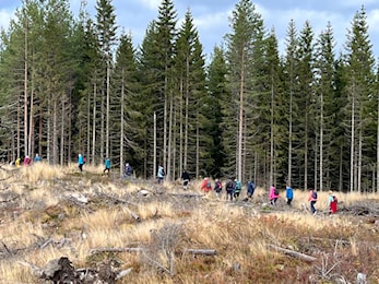 - Ti på topp avslutning Elverum 2025